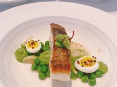 -蝶舍·MAISON PAPILLON