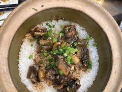 金牌黄鳝饭-红星光发煲仔饭(文海店)