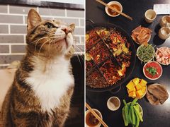 -酒友老火锅(渝中店)