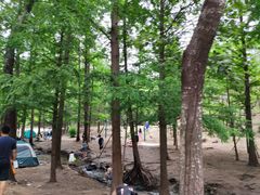 -白水寺森林公园