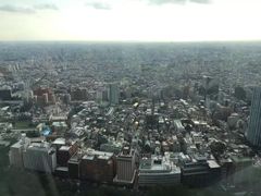 -东京都厅舍