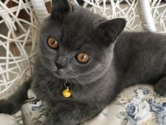 -牧马人宠物医院