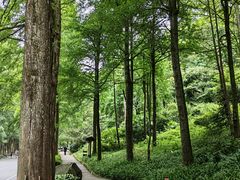 -青城山
