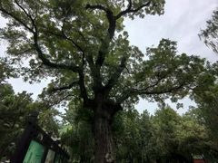 -晋祠公园