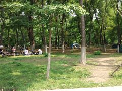 -长白岛森林公园