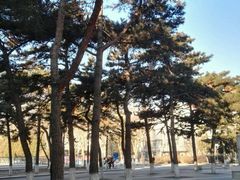 沈阳市摄影艺术家协会-东北大学(南湖校区)