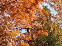 -上海不夜城广场(上海不夜城金融大厦店)