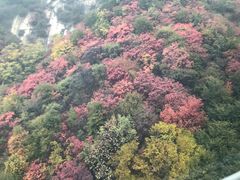 -少华山国家森林公园