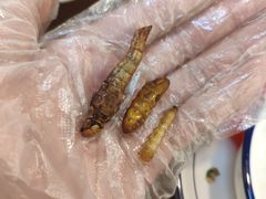 -老崇左特色风味食馆
