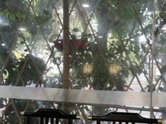 -贵州人家·酸汤火锅·20年老字号
