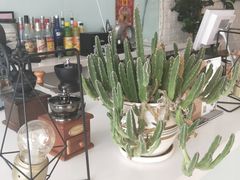-平行世界·猫咖(首经贸店)