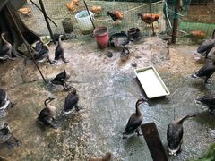 -洞背山庄(洞背院区式管理小区店)