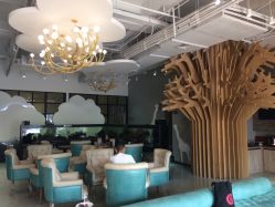 -可爱多国际儿童摄影会馆(龙泉店)