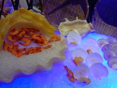 -长沙三景韦尔斯利酒店·Oval全日制餐厅自助餐