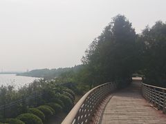 -江滩湿地公园
