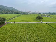 -风云岭森林公园