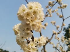 -眉山湿地公园(东坡区)