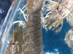 -晓伟海鲜家常菜