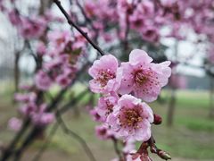 -汉长安城未央宫国家考古遗址公园