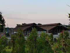 -王借岗森林公园