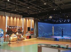 -小鸡哆哆故事屋·儿童乐园(嘉里城店)