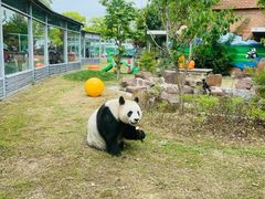 -苏州太湖国家湿地公园