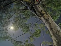-天后宫民俗文化街