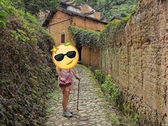 -杨家堂村