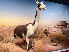 -陕西自然博物馆