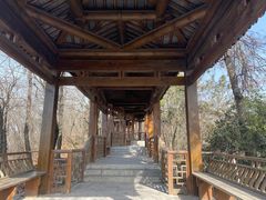 -金陵矩阵(聚宝山公园店)