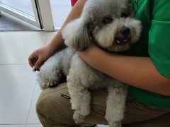 -宠福鑫康馨动物医院·骨科·眼科