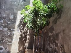 -VOYAGE COFFEE(北锣鼓巷店)