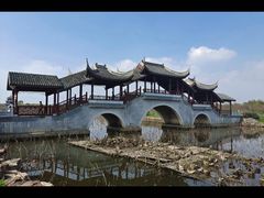 -上海海湾国家森林公园