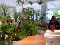 澳白-一尺花园(安和花园店)