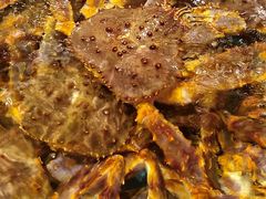帝王蟹-日进一片海.生腌海鲜火锅.宵夜烧烤(三里屯总店)