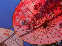 -名花谷生态庄园