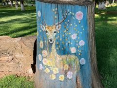 -西宁市人民公园(城西区)