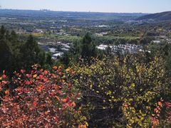 -北京西山国家森林公园