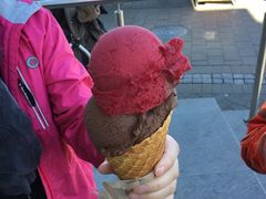 -Patagonia Chocolates(皇后镇店)