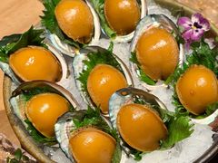 鲜活黑金鲍鱼-Minase水濑·日料放题(外滩店)