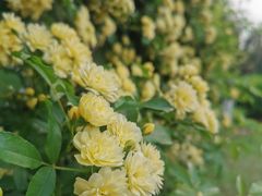 -玄武湖景区-情侣园游乐场