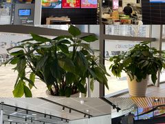 -麦当劳(北苑秋实路店)