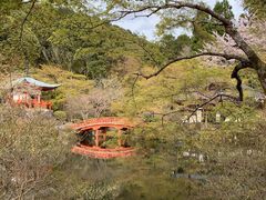 -醍醐寺