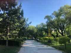 -黑龙江大学