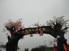 -天适樱花悠乐园
