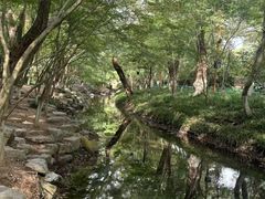 -杭州少年儿童公园