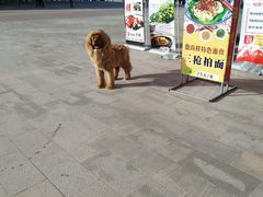 -丝路盛宴美食城