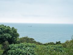 -广东惠东海龟国家级自然保护区