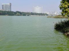 -南宁南湖公园