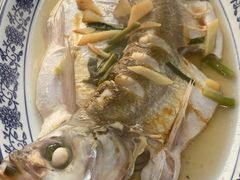 清蒸白水鱼-洞天食府(北大街店)